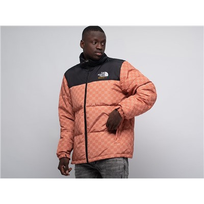 Куртка The North Face x Gucci