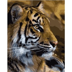 Картина по номерам 40х50 - Тигриный профиль