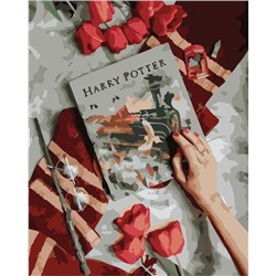 Картина по номерам 40х50 - Книга Гарри Поттера
