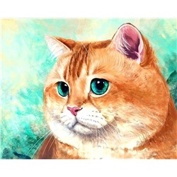 Картина по номерам 40х50 - Милый рыжий кот