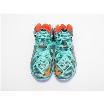 Кроссовки Nike Lebron 12