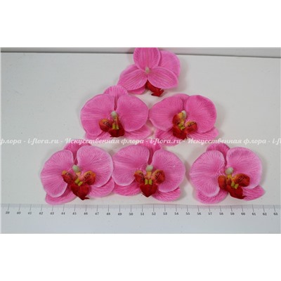 Насадка орхидея фолинопсис (упаковка 20 штук)