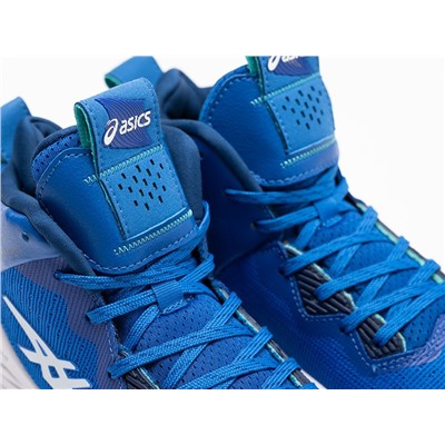 Кроссовки Asics Nova Surge 2