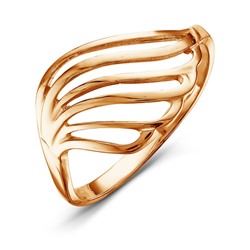 Золотое кольцо - 460