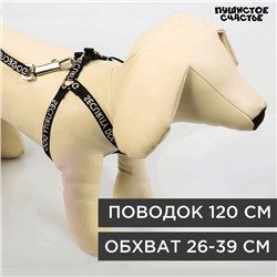 Комплект Security dog, шлейка 26-39 см, поводок 120х1 см