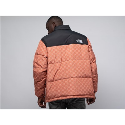 Куртка The North Face x Gucci