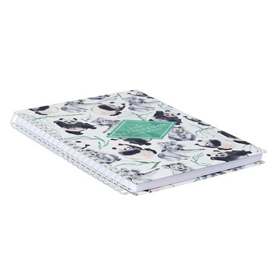 Блокнот-скетчбук А5+, 60 листов на гребне "Акварельные истории", твёрдая обложка, матовая ламинация, блок 100 г/м2, МИКС