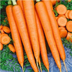 0076 Морковь Император 1гр