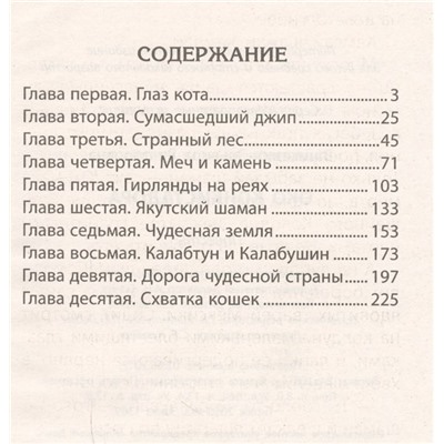 Эльвира Вашкевич: Око конкистадора. Невероятные истории