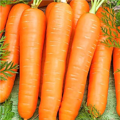 0072 Морковь Витаминная 6 2гр