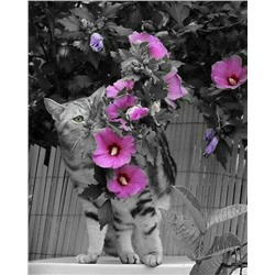 Картина по номерам 40х50 - Кот и цветы