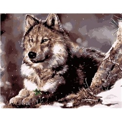 Картина по номерам 40х50 - Пушистый волк