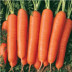 0558 Морковь Мармеладка 2гр