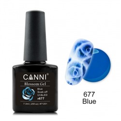 Canni Blossom Gel, для акварельной росписи № 677