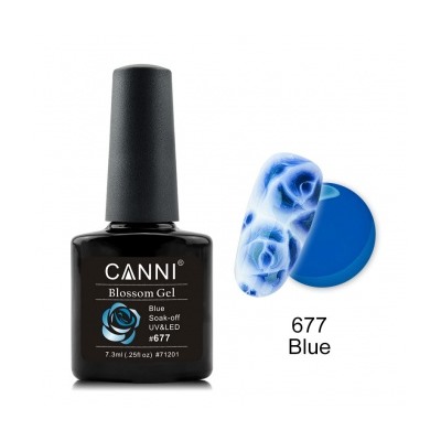 Canni Blossom Gel, для акварельной росписи № 677