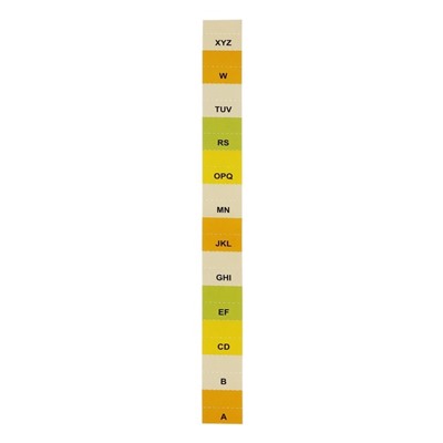 Папка на резинке А65, 12 отделений, зеленая пастель