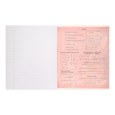 Тетрадь предметная Calligrata "Доска", 48 листов в клетку Алгебра, со справочным материалом, обложка мелованный картон, блок офсет