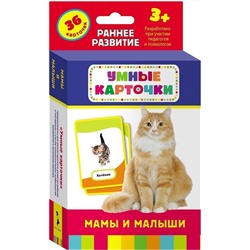 Развивающие карточки. Мамы и малыши 3+