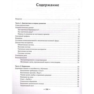 Запускаем речь у неговорящих детей. Диагностика и коррекция. От безречия до фразы