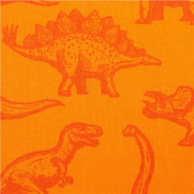 Постельное бельё Этель 1,5 сп «Динозавры» 143х215 см, 150х214 см, 50х70 см-1 шт, 100% хлопок, бязь