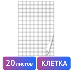 Блокнот для флипчарта ПЛОТНЫЙ 80 г/м2, BRAUBERG, 67,5х98 см, 20 листов, белый (КЛЕТКА), 128645