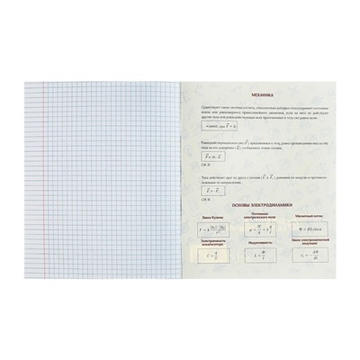 Тетрадь предметная Calligrata TOP "Анимэ", 48 листов в клетку Физика, со справочным материалом, обложка мелованный картон, блок офсет