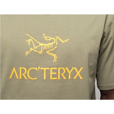 Футболка Arcteryx