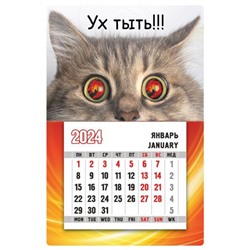Календарь магнитный 2024 "Кот. Ух тыть!" 16.17.00661/Россия