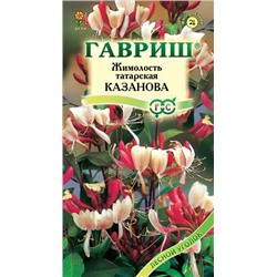 Жимолость татарская Казанова