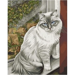 Картина по номерам 40х50 - Серая кошка