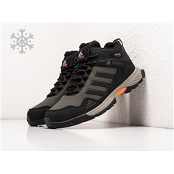 Зимние Кроссовки Adidas Terrex