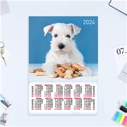 Календарь листовой "Собаки - 4" 2024 год, 30х42 см, А3