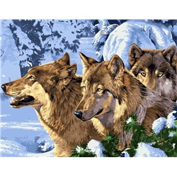 Картина по номерам 40х50 - Волки