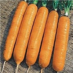 0089 Морковь Самсон 0,5гр