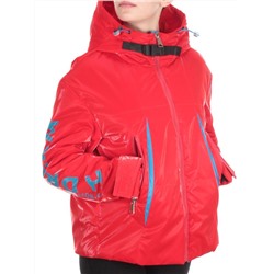 D004 RED Куртка демисезонная женская (100 гр. синтепон) размер L(46) - 52 российский