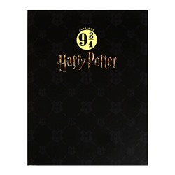 Тетрадь на 4-х кольцах, А5, 160 листов, в клетку, "Гарри Поттер", твёрдая обложка, матовая ламинация