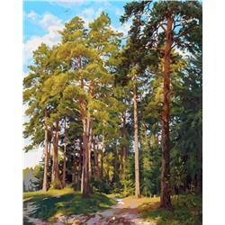Картина по номерам 40х50 - Высокие деревья (худ. Басов С.)