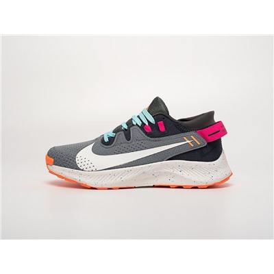 Кроссовки Nike Pegasus Trail 2