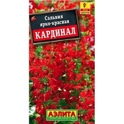 Семена Сальвия Кардинал, арт.: 4893