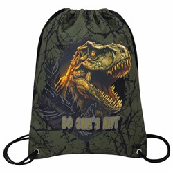 Мешок для обуви BRAUBERG PREMIUM, карман, подкладка, светоотражайка, 43х33 см, Dino attack, 272424