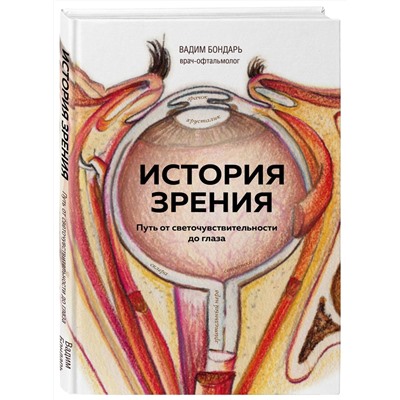 История зрения. Путь от светочувствительности до глаза