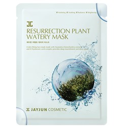 Jayjun Resurrection Plant Увлажняющая Листовая Маска