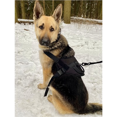 Прочный нейлоновый жилет для собак Molle Patrol K9 (черный) - Нейлоновая такнь и металлический ремешок вокруг шеи и спины помогут вам лучше контролировать собаку, когда питомец занимается на открытом воздухе. Модель подходит как для специальных служебных собак, так и для обычных пород средних и крупных размеров №4