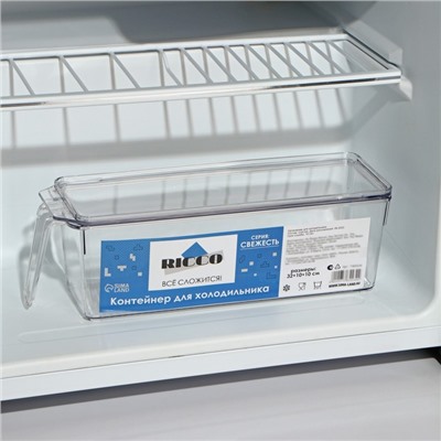 Контейнер для холодильника с крышкой и ручкой RICCO, 32×10×10 см