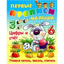 ПЕРВЫЕ ПРОПИСИ МАЛЫША(А4).ЦИФРЫ И СЧЕТ Учимся читать, писать, считать (2020)