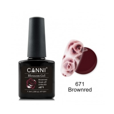 Canni Blossom Gel, для акварельной росписи № 671