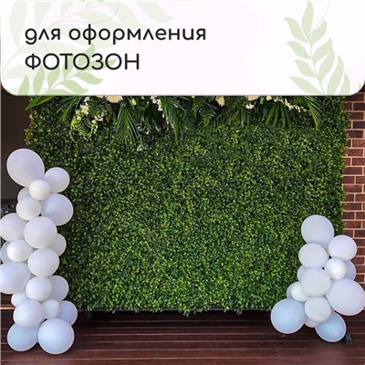 Декоративная панель, 60 × 40 см, «Мокрица», Greengo