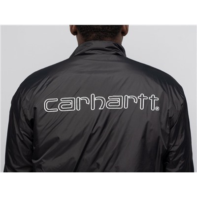 Толстовка CarHartt