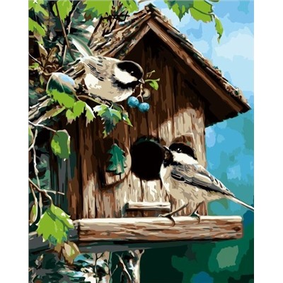Картина по номерам 40х50 - Птички у скворечника