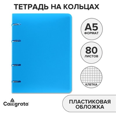 Тетрадь на кольцах A5 80 листов в клетку Calligrata Голубая, пластиковая обложка, блок офсет